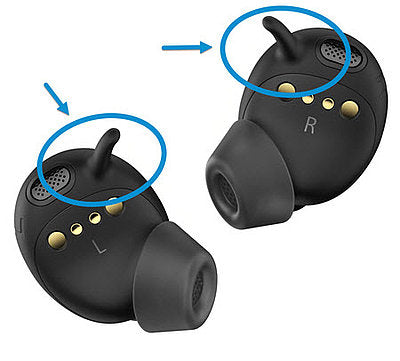 Ear Fin L ConCPlus1